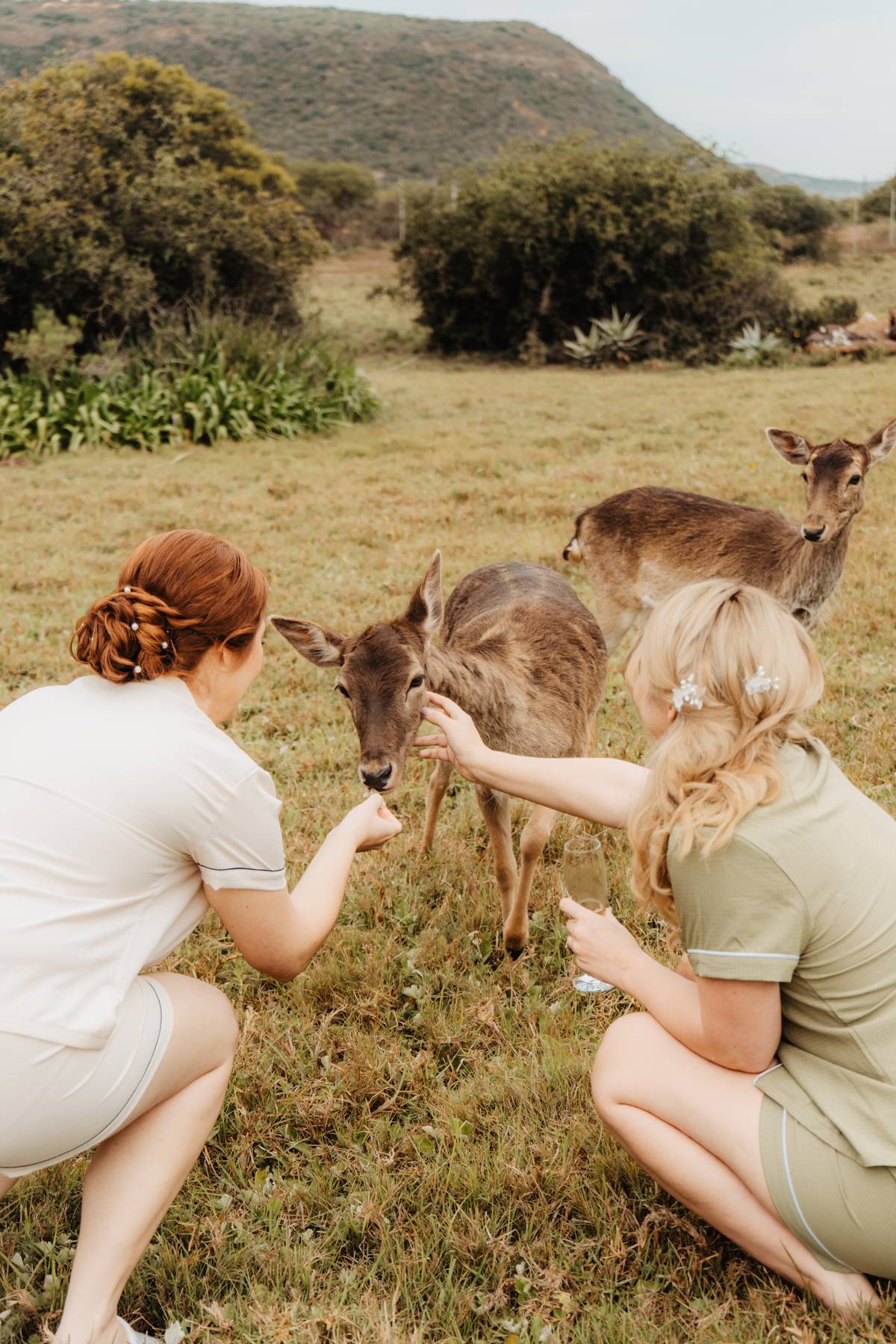 Wedding Venue in Eastern Cape